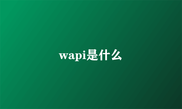 wapi是什么