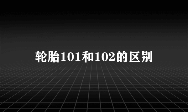 轮胎101和102的区别