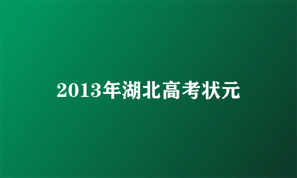 2013年湖北高考状元