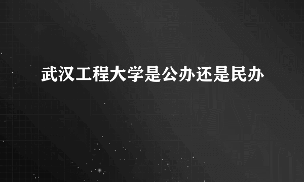 武汉工程大学是公办还是民办