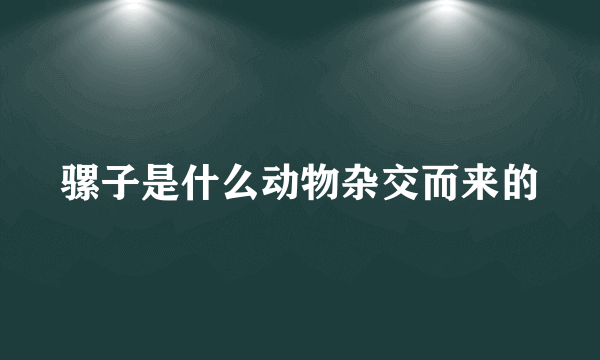 骡子是什么动物杂交而来的