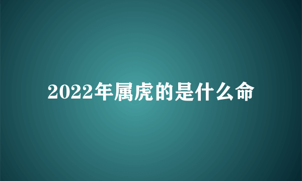 2022年属虎的是什么命