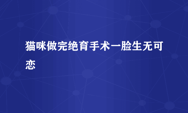 猫咪做完绝育手术一脸生无可恋