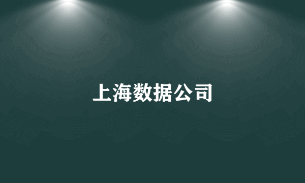 上海数据公司