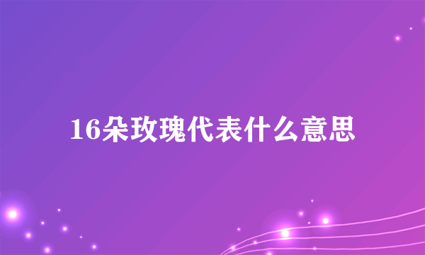 16朵玫瑰代表什么意思