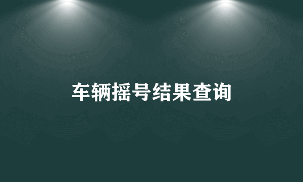 车辆摇号结果查询