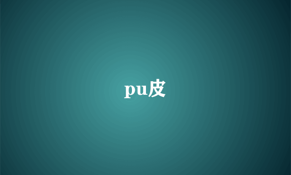 pu皮