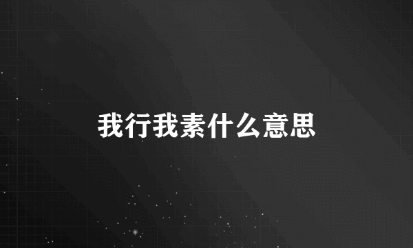 我行我素什么意思