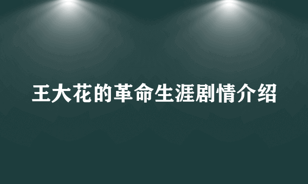 王大花的革命生涯剧情介绍