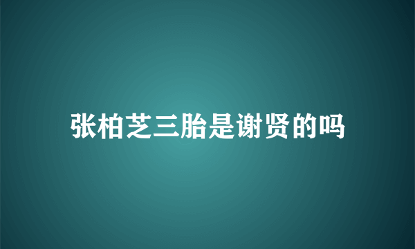 张柏芝三胎是谢贤的吗