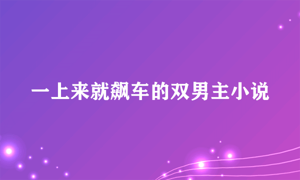 一上来就飙车的双男主小说