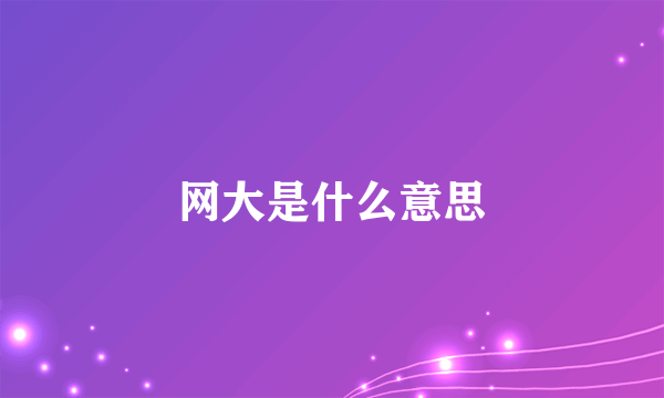 网大是什么意思