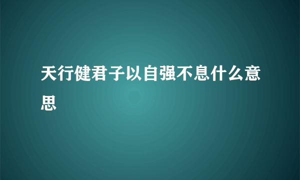 天行健君子以自强不息什么意思