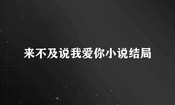 来不及说我爱你小说结局