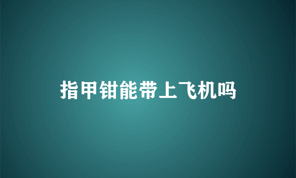 指甲钳能带上飞机吗