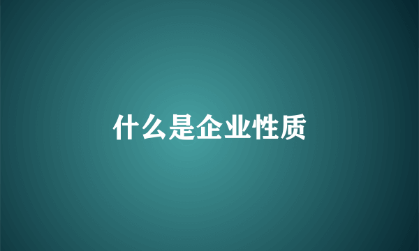 什么是企业性质