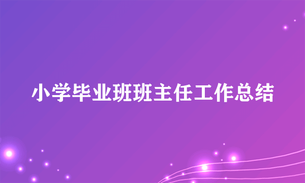 小学毕业班班主任工作总结