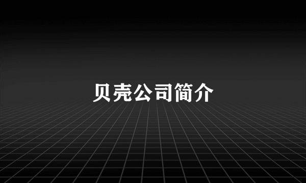 贝壳公司简介