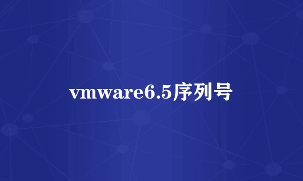 vmware6.5序列号