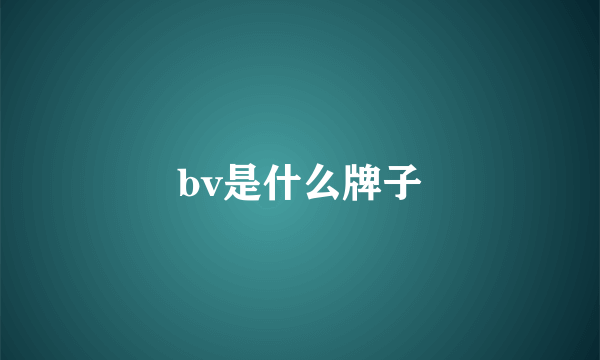 bv是什么牌子