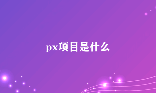 px项目是什么