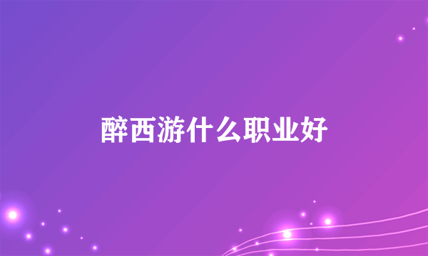 醉西游什么职业好