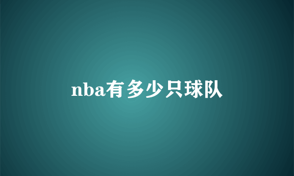 nba有多少只球队