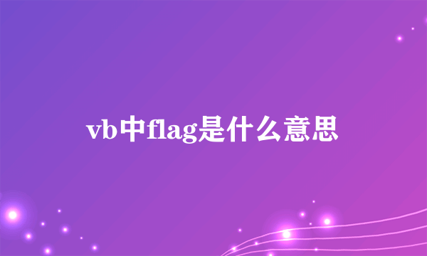 vb中flag是什么意思