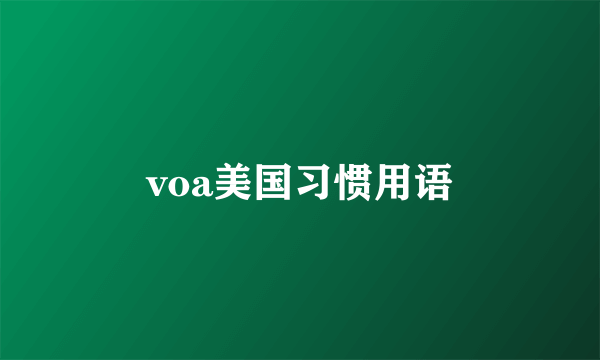 voa美国习惯用语