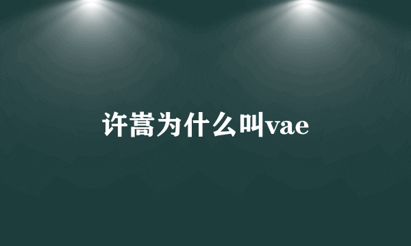 许嵩为什么叫vae