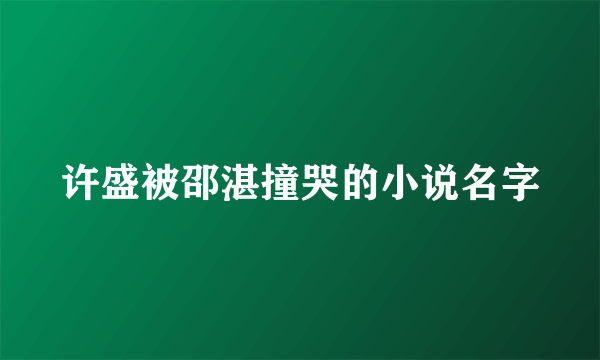 许盛被邵湛撞哭的小说名字