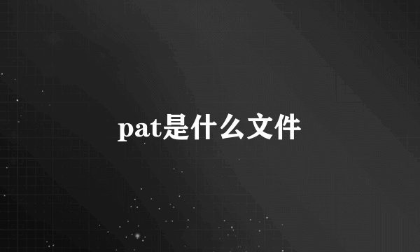 pat是什么文件