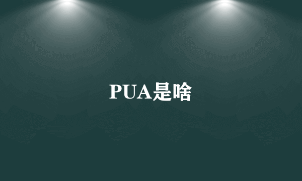 PUA是啥