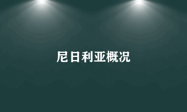 尼日利亚概况