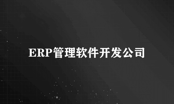 ERP管理软件开发公司