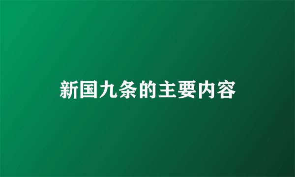 新国九条的主要内容