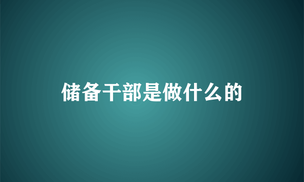 储备干部是做什么的