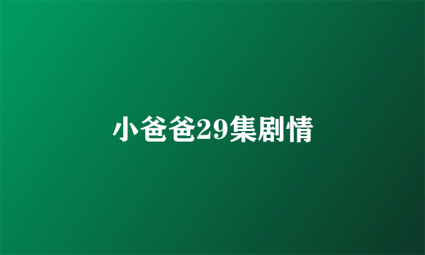 小爸爸29集剧情