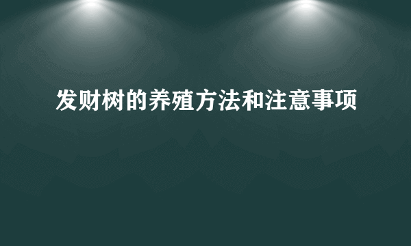 发财树的养殖方法和注意事项