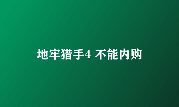 地牢猎手4 不能内购