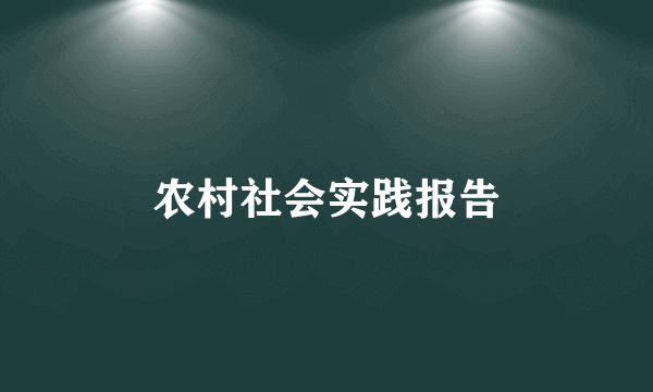 农村社会实践报告