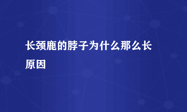 长颈鹿的脖子为什么那么长 原因