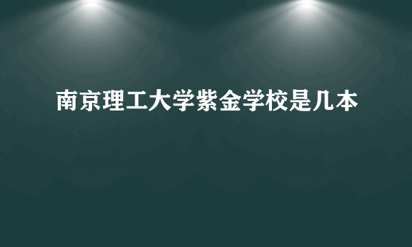 南京理工大学紫金学校是几本