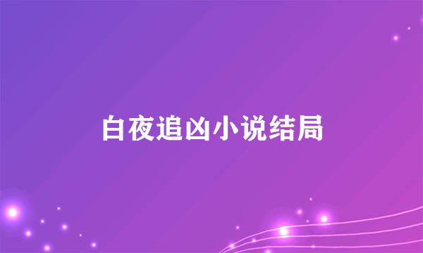 白夜追凶小说结局