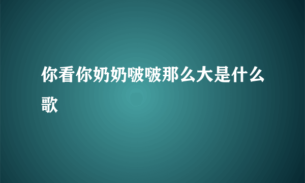 你看你奶奶啵啵那么大是什么歌