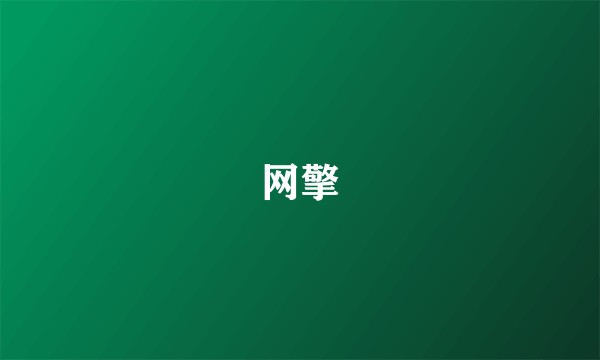 网擎