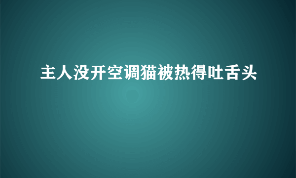 主人没开空调猫被热得吐舌头