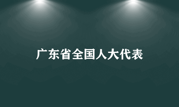 广东省全国人大代表