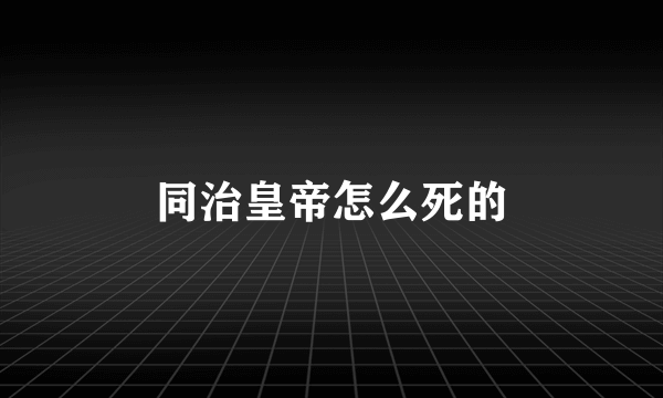 同治皇帝怎么死的