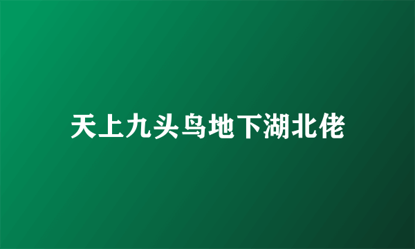 天上九头鸟地下湖北佬